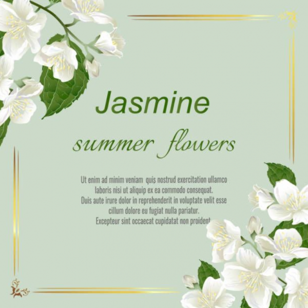 Undangan dengan desain bunga melati yang cantik